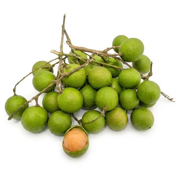 26E27B7D76DD9B3B.jpegc600x0_q70
